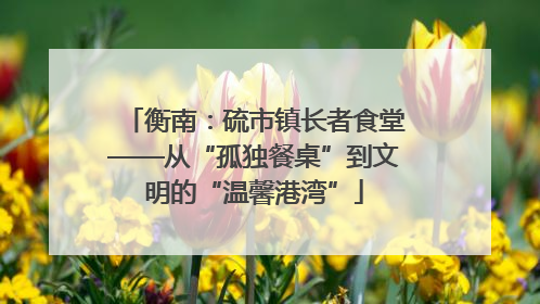 衡南:硫市镇长者食堂——从“孤独餐桌”到文明的“温馨港湾”
