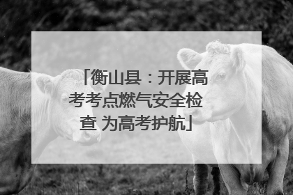 衡山县：开展高考考点燃气安全检查 为高考护航