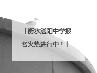 衡水滏阳中学报名火热进行中！