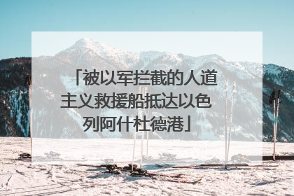 被以军拦截的人道主义救援船抵达以色列阿什杜德港