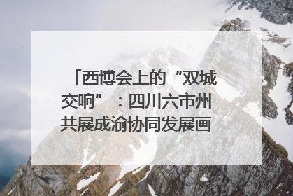 西博会上的“双城交响”：四川六市州共展成渝协同发展画卷｜西博视界
