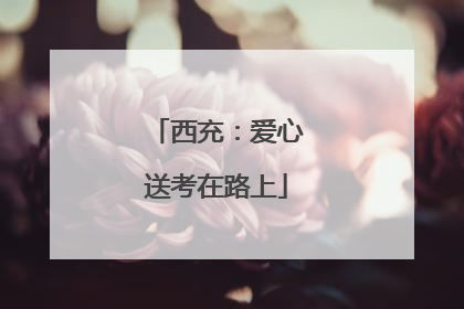 西充：爱心送考在路上
