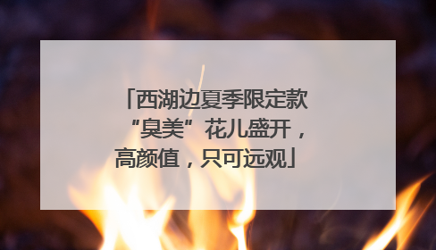 西湖边夏季限定款“臭美”花儿盛开，高颜值，只可远观