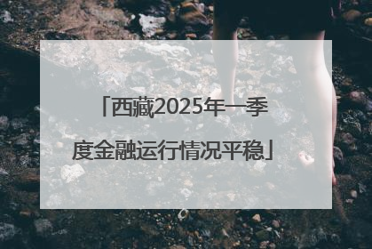 西藏2025年一季度金融运行情况平稳