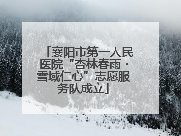 襄阳市第一人民医院“杏林春雨・雪域仁心”志愿服务队成立