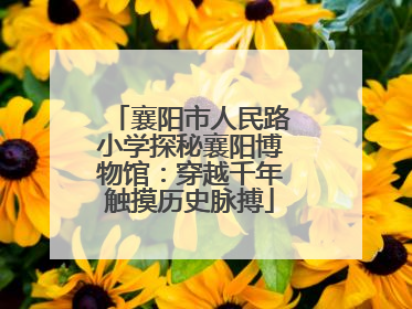 襄阳市人民路小学探秘襄阳博物馆：穿越千年触摸历史脉搏