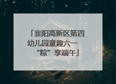 襄阳高新区第四幼儿园童趣六一 “粽”享端午