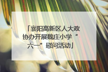 襄阳高新区人大政协办开展魏庄小学“六一”慰问活动