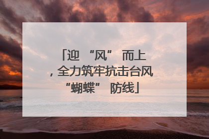 迎 “风” 而上，全力筑牢抗击台风 “蝴蝶” 防线