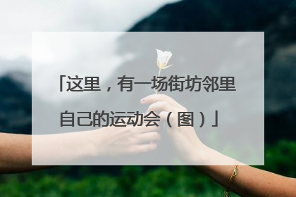 这里，有一场街坊邻里自己的运动会（图）