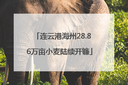 连云港海州28.86万亩小麦陆续开镰