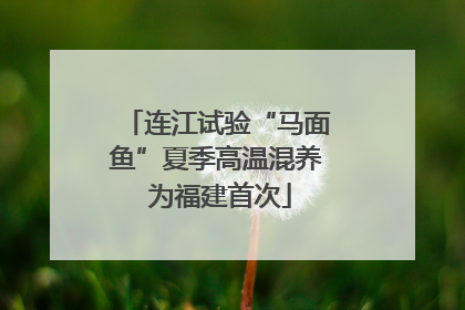 连江试验“马面鱼”夏季高温混养 为福建首次