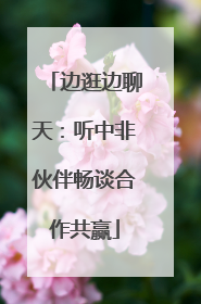 边逛边聊天：听中非伙伴畅谈合作共赢