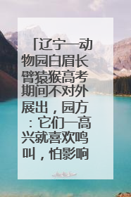 辽宁一动物园白眉长臂猿猴高考期间不对外展出，园方：它们一高兴就喜欢鸣叫，怕影响考试