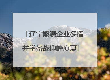 辽宁能源企业多措并举备战迎峰度夏
