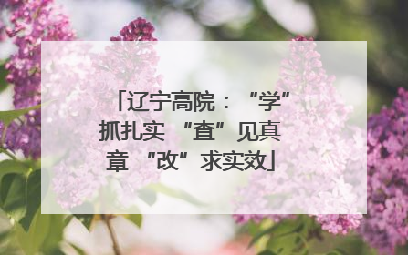 辽宁高院：“学”抓扎实 “查”见真章 “改”求实效