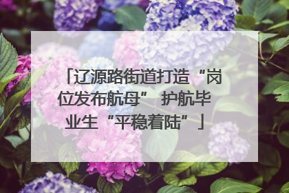 辽源路街道打造“岗位发布航母” 护航毕业生“平稳着陆”