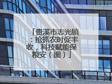 贵溪市志光镇：抢抓农时促丰收，科技赋能保粮安（图）