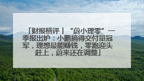 财报横评丨“蔚小理零”一季报出炉：小鹏摘得交付量冠军，理想最能赚钱，零跑迎头赶上，蔚来还在调整
