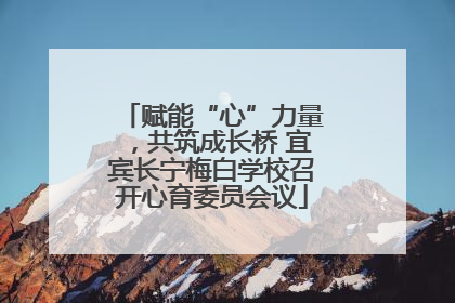 赋能“心”力量，共筑成长桥 宜宾长宁梅白学校召开心育委员会议