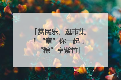赏民乐、逛市集！“童”你一起，“粽”享紫竹