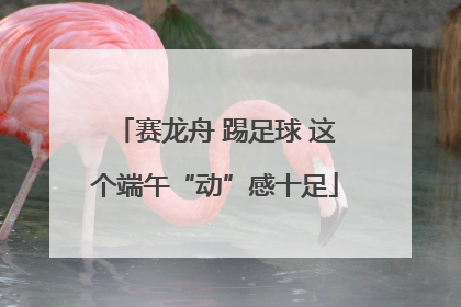 赛龙舟 踢足球 这个端午“动”感十足