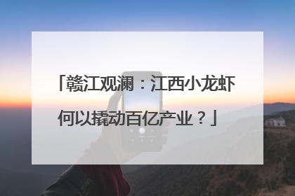 赣江观澜：江西小龙虾何以撬动百亿产业？