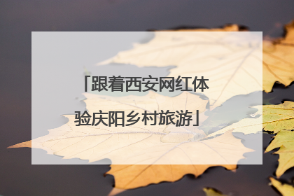 跟着西安网红体验庆阳乡村旅游