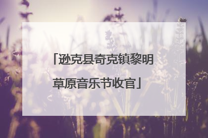 逊克县奇克镇黎明草原音乐节收官
