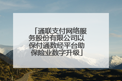 通联支付网络服务股份有限公司以保付通数经平台助保险业数字升级