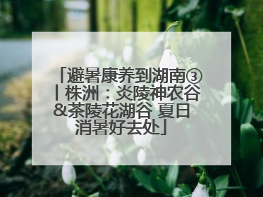 避暑康养到湖南③丨株洲：炎陵神农谷&茶陵花湖谷 夏日消暑好去处
