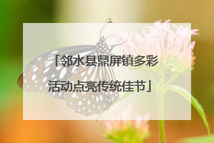 邻水县鼎屏镇多彩活动点亮传统佳节