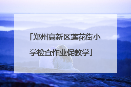 郑州高新区莲花街小学检查作业促教学