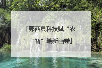 郧西县科技赋“农”“智”绘新画卷