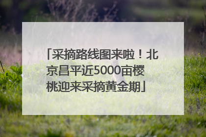 采摘路线图来啦！北京昌平近5000亩樱桃迎来采摘黄金期