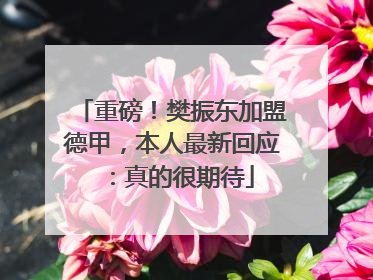重磅！樊振东加盟德甲，本人最新回应：真的很期待
