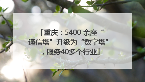 重庆：5400 余座“通信塔”升级为“数字塔”，服务40多个行业