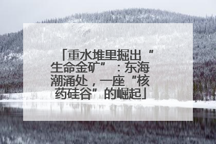 重水堆里掘出“生命金矿”：东海潮涌处，一座“核药硅谷”的崛起