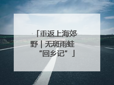重返上海郊野｜无斑雨蛙“回乡记”