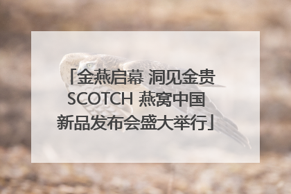 金燕启幕 洞见金贵 SCOTCH 燕窝中国新品发布会盛大举行