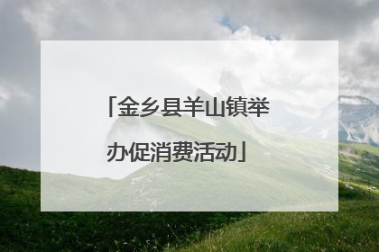 金乡县羊山镇举办促消费活动