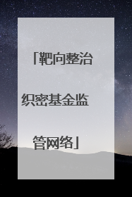靶向整治织密基金监管网络