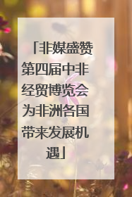 非媒盛赞第四届中非经贸博览会为非洲各国带来发展机遇