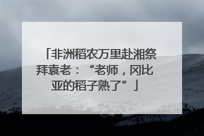 非洲稻农万里赴湘祭拜袁老：“老师，冈比亚的稻子熟了”