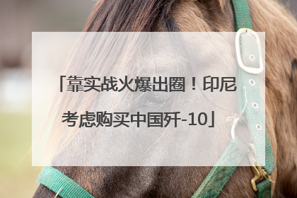 靠实战火爆出圈！印尼考虑购买中国歼-10