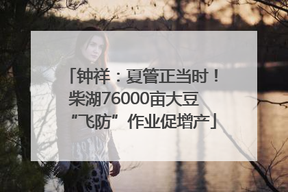 钟祥：夏管正当时！柴湖76000亩大豆“飞防”作业促增产