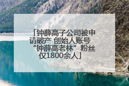 钟薛高子公司被申请破产 创始人账号“钟薛高老林”粉丝仅1800余人