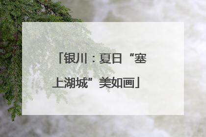 银川：夏日“塞上湖城”美如画