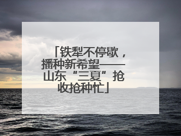铁犁不停歇，播种新希望——山东“三夏”抢收抢种忙
