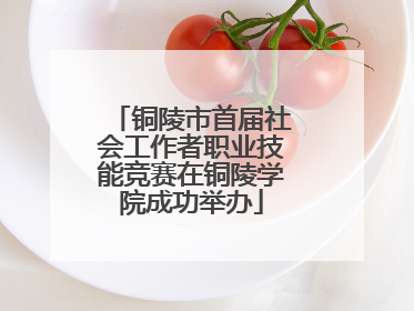 铜陵市首届社会工作者职业技能竞赛在铜陵学院成功举办